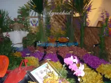 Pameran Orkid Dan Bonsai Peringkat Antarabangsa Johor Bahru